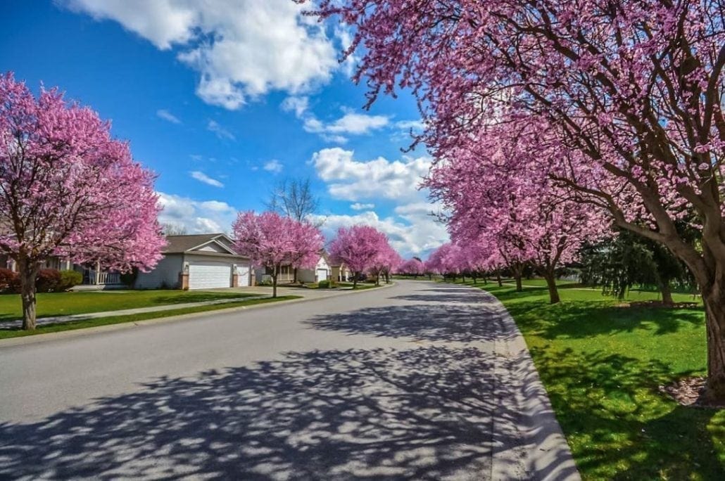 neighbourhood disputes